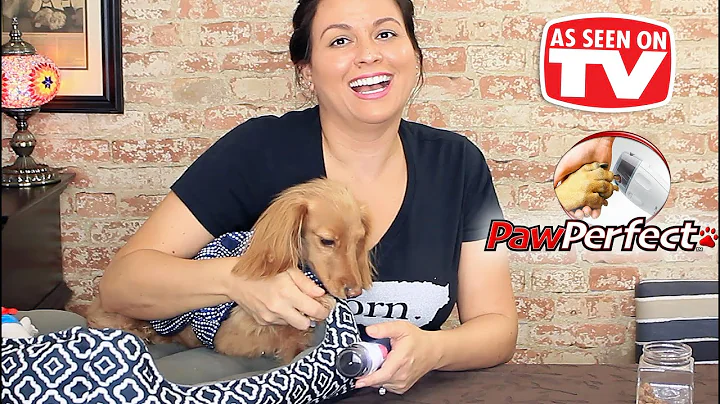 Paw Perfect Review - Testing As Seen On TV Products