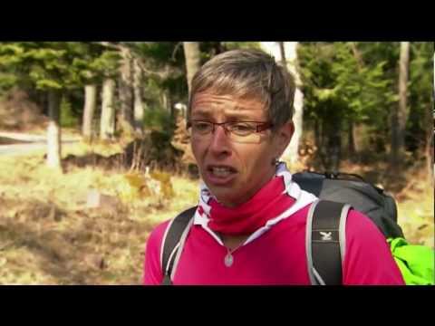 Video: Subalpine Tannen für die Landschaftsgest altung: Landschaftliche Verwendungen für subalpine Tannenbäume