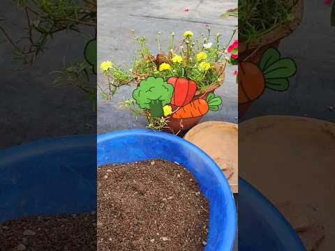 When to plant