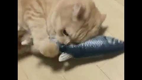 USB Rechargeable Catnip Fish Toy For Cats