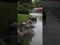 Japanese Zen Garden | Rain &amp; Bamboo Water Sounds