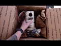 Gilbertson Nest Box / Bluebird House - Unboxing and Nest Check Gilbertson Nest Box / Bluebird House - Unboxing and Nest Check
