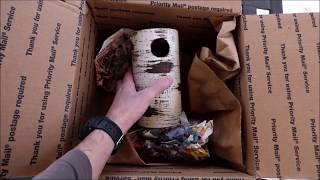 Gilbertson Nest Box / Bluebird House - Unboxing and Nest Check