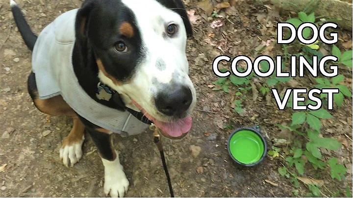RuffWear Dog Cooling Vest Review