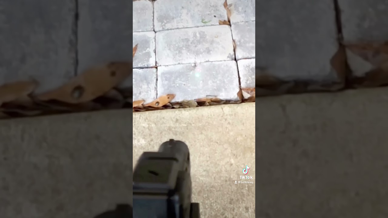 SnipeABug demo reel Reloadable CO2 Bug Salt gun in action A better Shredder? YouTube