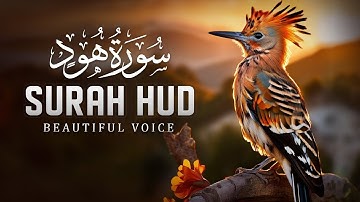 Surah Hud (سورة هود) Relaxing Heart Touching Marvelous Quran