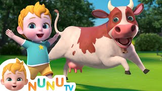 Moo Moo The Cow | Kids Songs & Nursery Rhymes | NuNu Tv