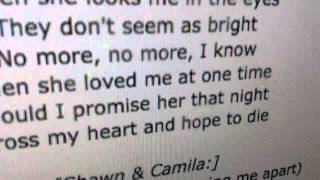 Shawn Mendes & Camila Cabello - I Know What You Did Last Summer w/ lyrics