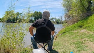 Relaxing Day River Bait and Wait Fishing Striped Bass (Sacramento River)