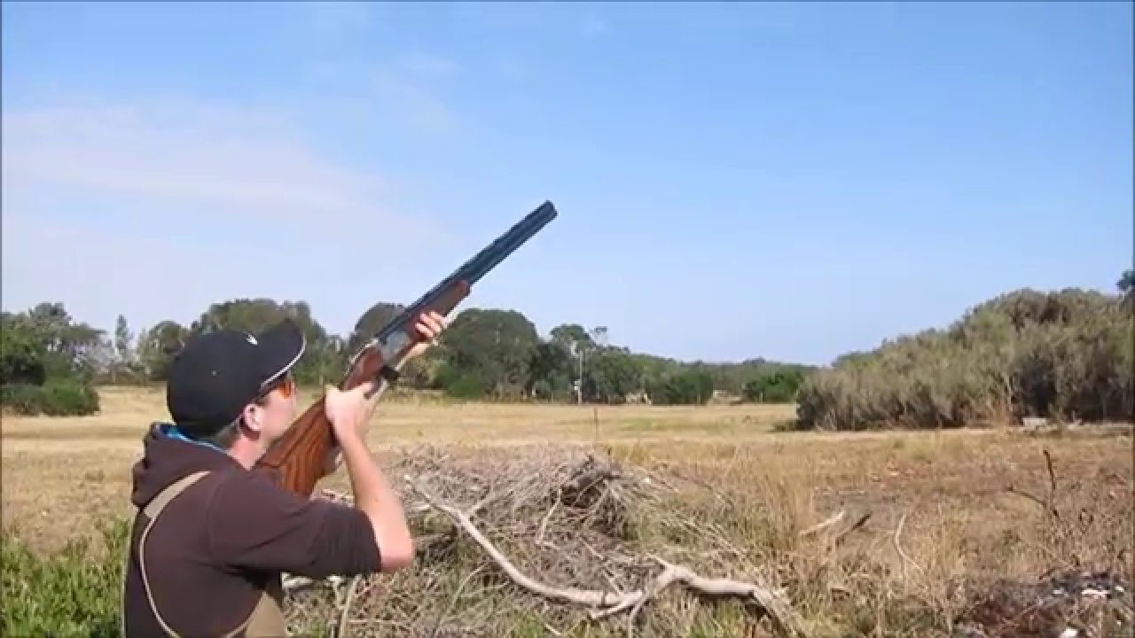 Port Phillip GB-Corsivia shoot Jan 2016