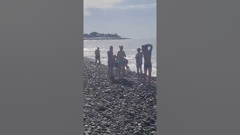 Отдыхающие на пляже в Сочи вытащили на берег морскую мину
