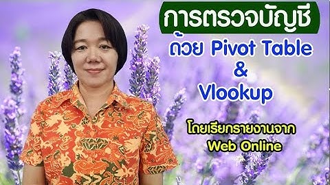 การตรวจสอบบัญชีด้วย pivot table และ Vlookup โดยเรียกรายงานจาก Web Online