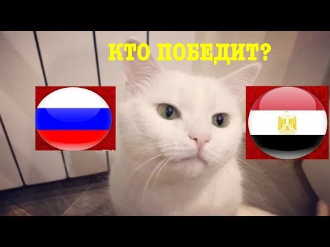 ПРОГНОЗ ТАРО НА АВГУСТ 2018 Телец. Чувства и отношения. Анастасия Мон.из YouTube · Длительность: 23 мин6 с ПРОГНОЗ ТАРО НА АВГУСТ 2018 Телец. Чувства и отношения. Анастасия Мон.из YouTube · Длительность: 23 мин6 с