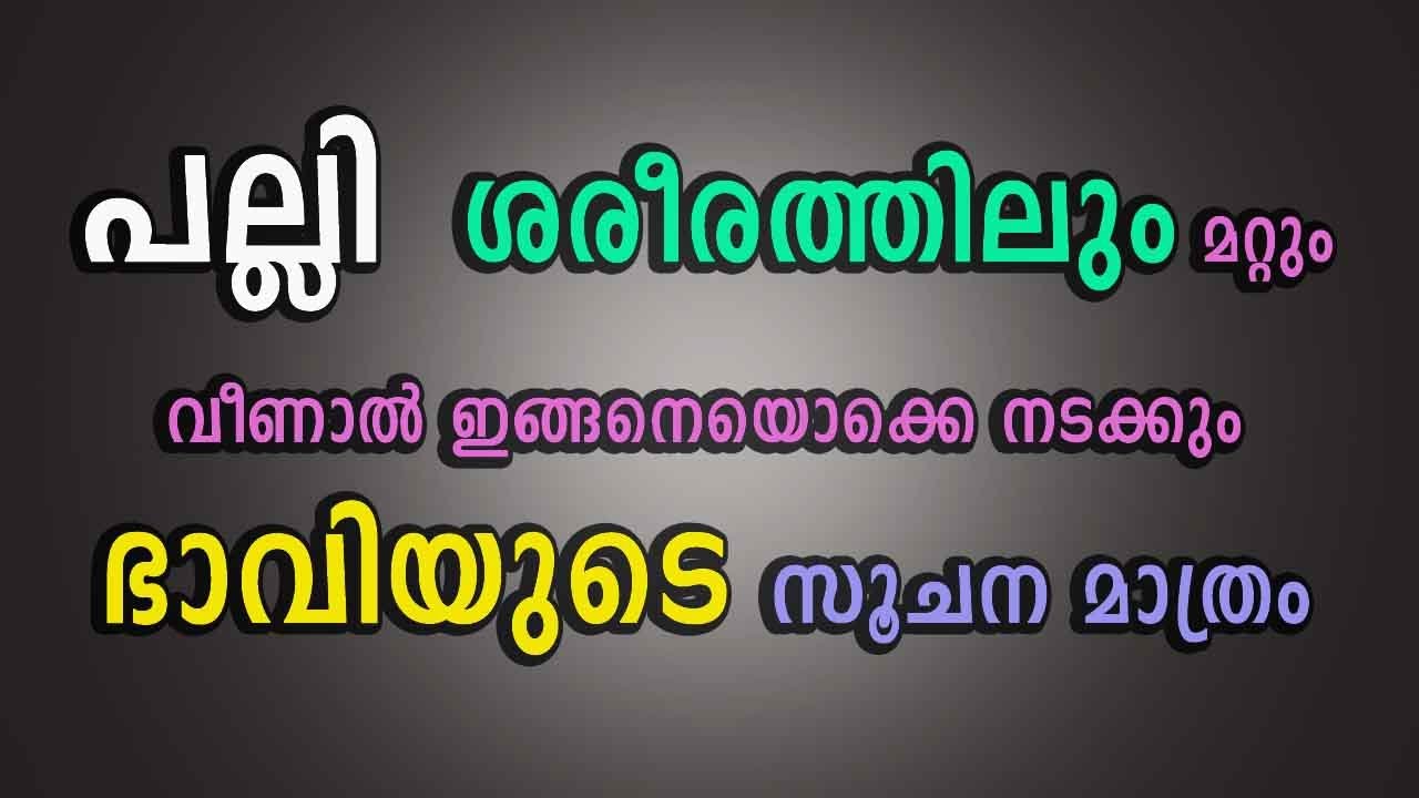 If the lizard falls on the body this is what will happen Only a sign of the future abc malayalam one