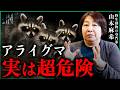 かわいいは嘘?アライグマが日本にもたらす"本当の被害"を専門家が解説|小田真嘉×山本麻希