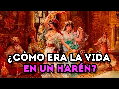 Vídeo: Què és Un Harem