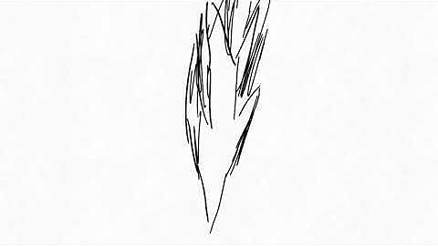 Bird - Hand Drawn Morph Animation (Loop)