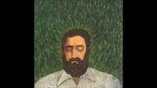 Iron and Wine- Hickory