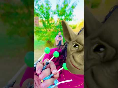 الولي بوب الجميله