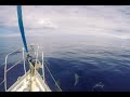 Sailing Azores to the UK single handed on a Vancouver 28