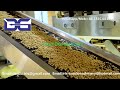 Jinan DG75-II twin screw extruder Chocolate filled pillow snacks food production line in Morocco