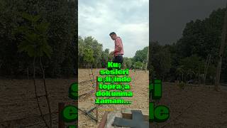 Kuş sesleri eşliğinde bahçede huzur🦜🍀