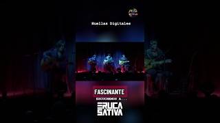 Escuchemos a... #ErucaSativa | #HuellasDigitales #LulaBertoldi #BrendaMartin #GabrielPedernera