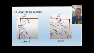 Cholinergic Receptors Module 5 Video