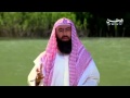 هل هناك احد حسد من الصحابه في عهد الرسول 