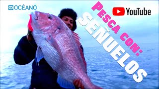 Pesca con señuelos,Capturas extremas en Conil.Samas y Corvinas XXXL