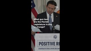 What gun laws are the Florida Legislature trying to change in 2026?