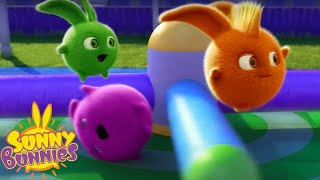 SUNNY BUNNIES - JUMP! | Season 7 COMPILATION | Cartoons for Children