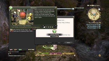 FINAL FANTASY XIV Delivery Moogle in  Gridania