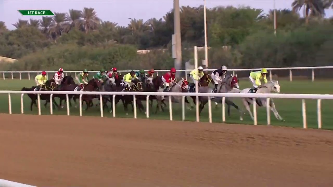 HH SHEIKH MANSOOR BIN ZAYED AL NAHYAN RACING FESTIVAL - ABU DHABI EQUESTRIAN CLUB | 4/12/2022