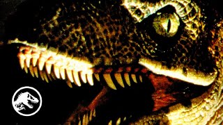 The Untold Story Of Jurassic Park's ALPHA Raptor