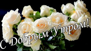 С ДОБРЫМ УТРОМ !🌼Желаю Самого Доброго Солнечного Утра!🌼  Шикарная Песня. 🌼