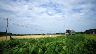 根室線　普通列車（2524Dレ）夏を走る。Decmo（JR北海道H100形）