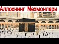 МАККА МУКАРРАМА  АЛЛОХНИ МЕХМОНЛАРИ