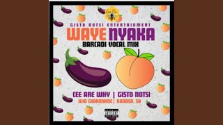 Wayenyaka (feat. Kiid Charmaine, Nandsa Sa) (Main Mix Barcadi)