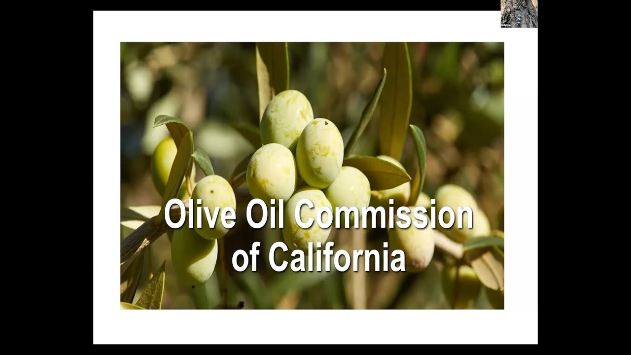Talk #9: Olive Oil Commission of California with Chris Zanobini