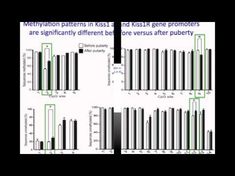 Video Abstract: "Changes in Methylation Patterns of Kiss1 and Kiss1r ...