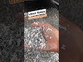 Soft Plastic Sheets Shredded Into Uniform Flakes! High-Efficiency Crushing Test #plasticrecycling