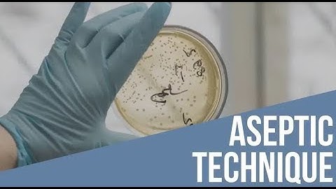 Aseptic Technique Streak for Isolation