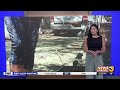 Eastern Coachella Valley rescues overwhelmed with abandoned dogs