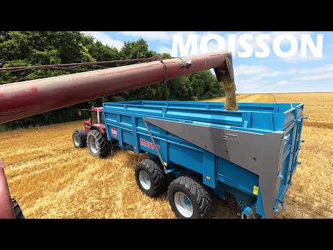 Early Winter Barley Harvest - 2026 thumbnail