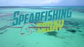 We are... Spearfishing Today Mexico  | Cancun  | Cozumel | Holbox  | Playa del Carmen  | Tulum