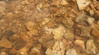 RiverRocks by MyMuddyMess 211 views 9 months ago 1 minute, 6 seconds