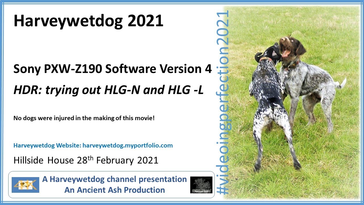 Sony PXW-Z190 4K Video Camera - Version 4 Firmware HLG-N and HLG-L