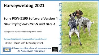 Sony PXW-Z190 4K Video Camera - Version 4 Firmware HLG-N and HLG-L