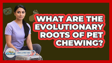 What Are The Evolutionary Roots Of Pet Chewing? - Ask A Pet Vet